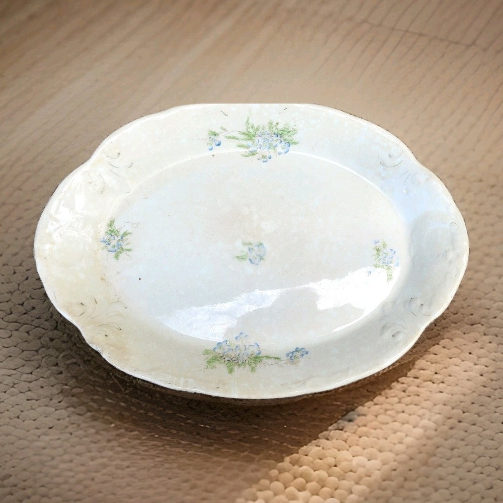 Antique Iron Stone dish stone Platter Crazing Theodore Haviland Limoges